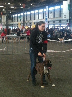 CACIB Bordeaux spéciale de Race